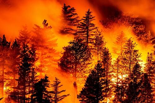 美国西海岸山火失控30余人死亡 数十万人紧急疏散