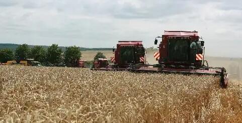 乌克兰农业政策与粮食部长：今年乌粮食产量可能下降50%