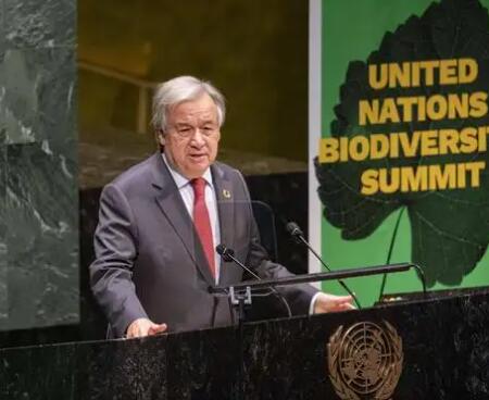 俄国防部:已邀请联合国和红十字国际委员会专家对叶连诺夫卡袭击事件进行调查