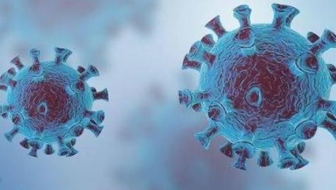 世卫组织：二次感染新冠病毒并不常见