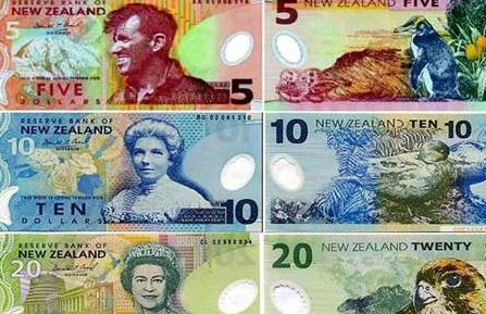 新西兰元汇率单周表现领跑G10货币_国内新闻 - 旗讯网
