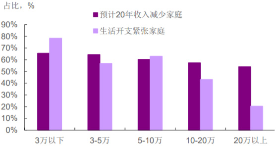 2020年中国家庭收入及消费变动预期（分收入组）