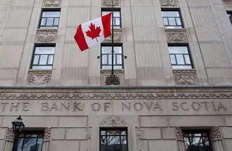 丰业银行：加拿大央行可能忽略一些要点