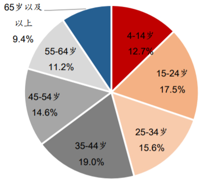  2017年中国电视观众年龄结构