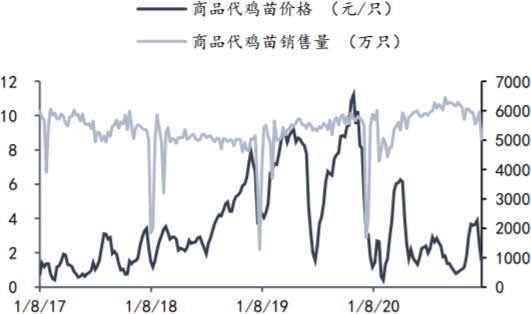 2017-2021年2月我国白羽肉鸡商品代鸡苗销售价格与销售量数据