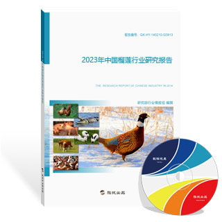 榴莲行业研究报告