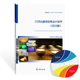 COB光源项目商业计划书