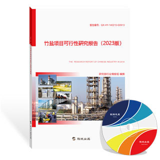 竹盐项目可行性研究报告