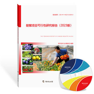琵琶项目可行性研究报告