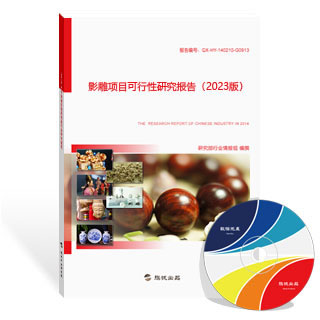 影雕项目可行性研究报告