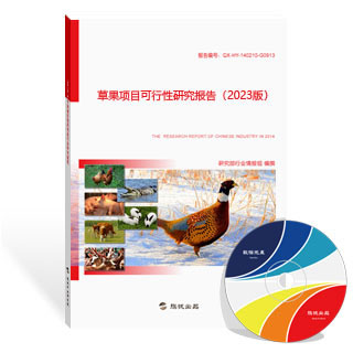 草果项目可行性研究报告